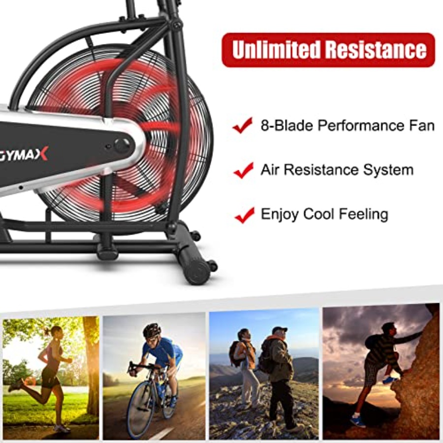 Cardiotraining in de homegym:  - Phone Holder recensie en prijs